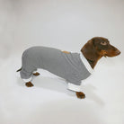 Teckel portant un t-shirt rayé pour teckel avec un design élégant et confortable