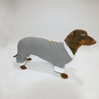 Teckel portant un t-shirt rayé pour teckel avec un design élégant et confortable