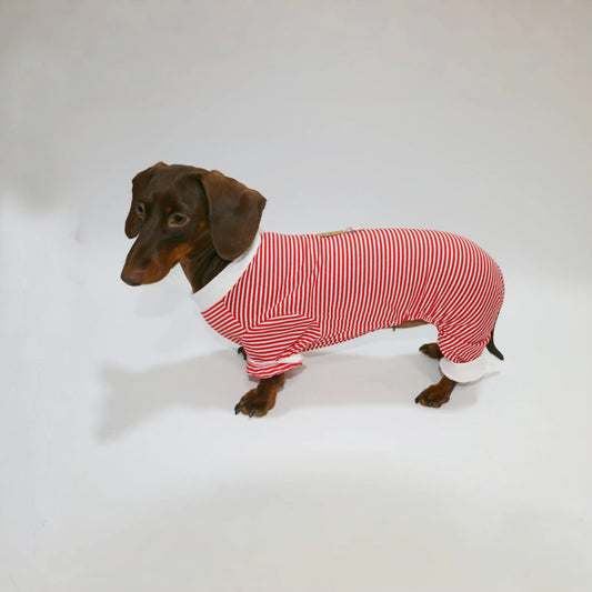 T-shirt rayé pour teckel en rouge et blanc, conçu pour le confort de votre animal