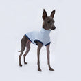 Carica l'immagine nel visualizzatore della galleria, T-shirt respirant pour lévrier en bleu, idéal pour le confort de votre animal pendant les activités de plein air.
