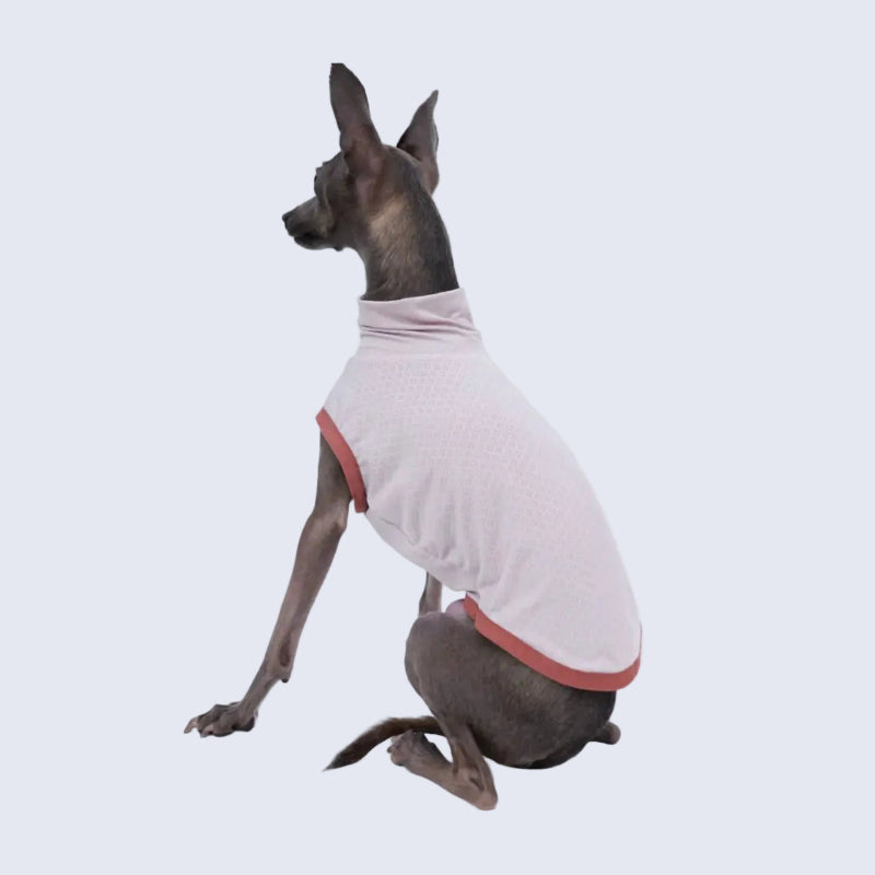 T-shirt respirant pour lévrier en rose avec col haut, parfait pour le confort de votre animal