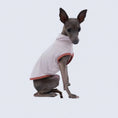 Carica l'immagine nel visualizzatore della galleria, T-shirt respirant pour lévrier de la marque Oscar et Plume, idéal pour le confort de votre chien
