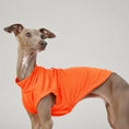 Carica l'immagine nel visualizzatore della galleria, T-shirt respirant pour lévrier en couleur orange, conçu pour le confort des chiens élégants
