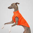 Carica l'immagine nel visualizzatore della galleria, T-shirt respirant pour lévrier en orange, léger et confortable pour les chiens actifs
