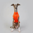 Carica l'immagine nel visualizzatore della galleria, T-shirt respirant pour lévrier orange ajusté pour le confort des chiens élégants
