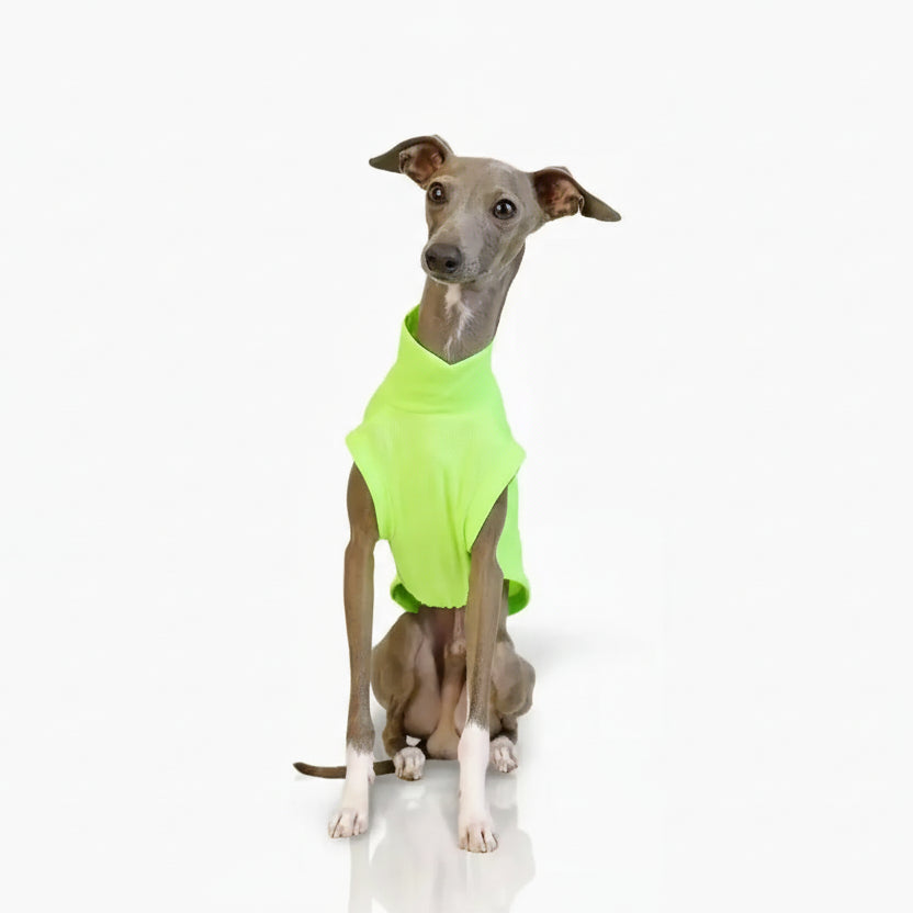 T-shirt respirant pour lévrier en vert fluo, conçu pour le confort de votre chien.