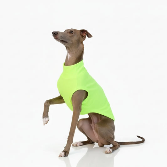 T-shirt respirant pour lévrier en vert fluo, idéal pour le confort de votre chien élégant