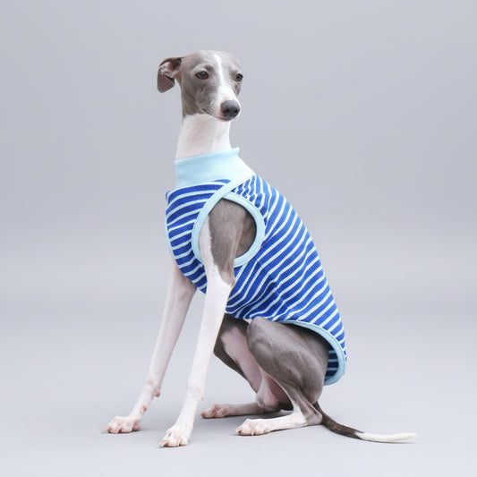 T-shirt sans manche pour lévrier en bleu rayé, idéal pour le confort des chiens élégants