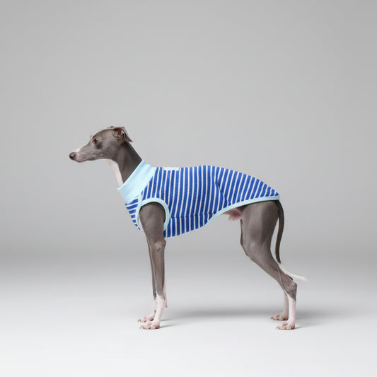 T-shirt sans manche pour lévrier en rayures bleues et blanches, idéal pour les promenades estivales