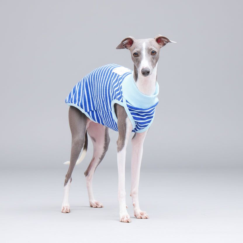 T-shirt sans manche pour lévrier en rayures bleues pour un look stylé et confortable