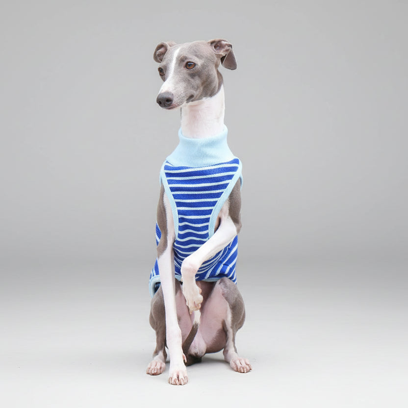 T-shirt sans manche pour lévrier à rayures bleues et bleu clair pour un look élégant