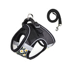 Ensemble harnais et laisse pour chien noir avec motif marguerite par Oscar et Plume