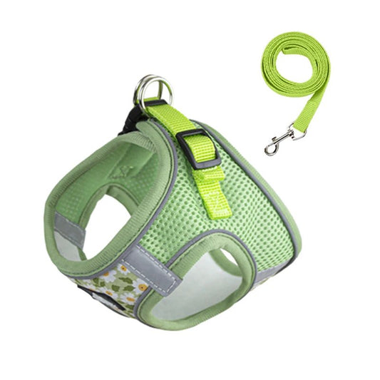 Ensemble harnais et laisse pour chien vert avec design floral confortable et fixations robustes