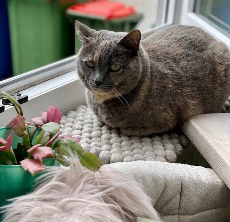 Tapis de fenêtre en laine mérinos - Oscar et Plume