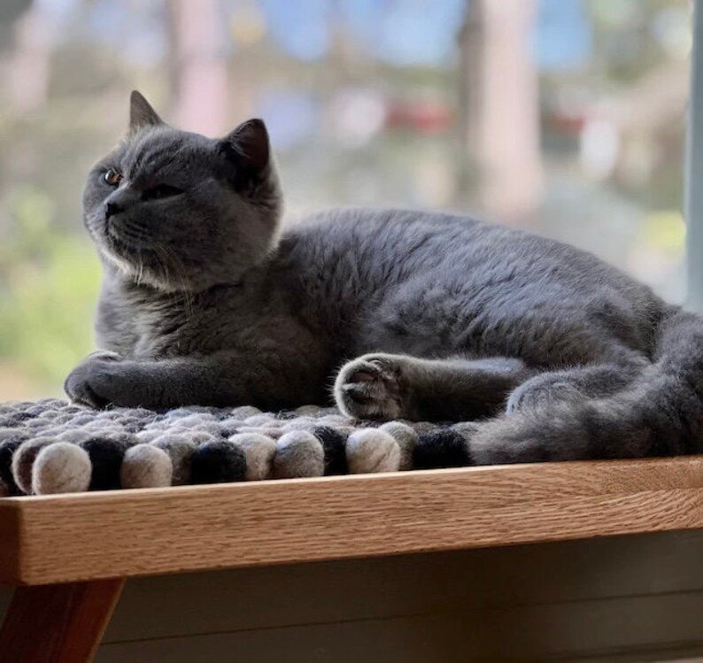 Tapis de fenêtre en laine mérinos Oscar et Plume