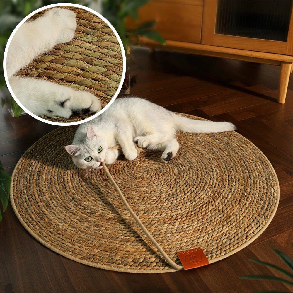 Tapis en sisal de repos et à gratter pour chat Oscar et Plume Tapis clair