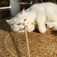 Charger l'image dans la visionneuse de la galerie, Tapis en sisal de repos et à gratter pour chat Oscar et Plume Tapis clair
