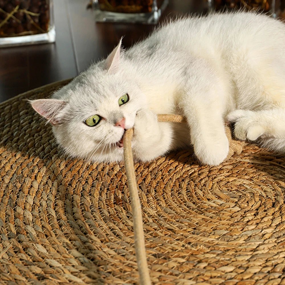 Tapis en sisal de repos et à gratter pour chat Oscar et Plume Tapis clair