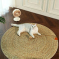 Charger l'image dans la visionneuse de la galerie, Tapis en sisal de repos et à gratter pour chat Oscar et Plume Tapis clair
