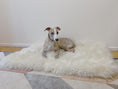 Load image into Gallery viewer, Tapis luxueux en véritable peau de mouton rectangulaire - Oscar et Plume
