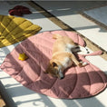 Load image into Gallery viewer, Tapis pour chat ou chien Oscar et Plume
