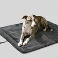 Charger l'image dans la visionneuse de la galerie, Tapis pour chien Oscar et Plume en noir, offrant un confort idéal pour les animaux à l'intérieur ou à l'extérieur
