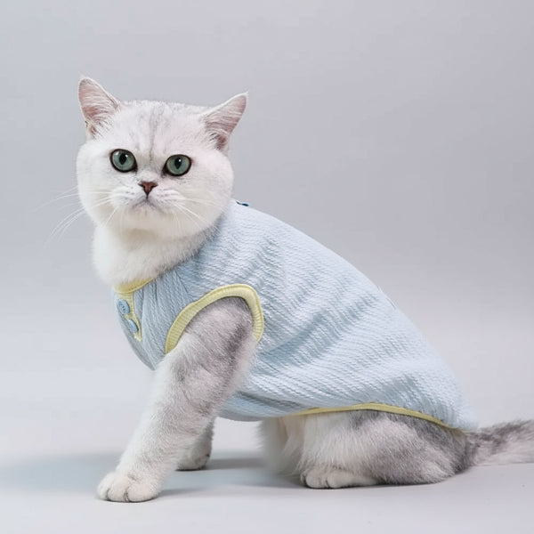 Chat portant un tee-shirt chaud pour chat en tissu léger, assis sur un canapé