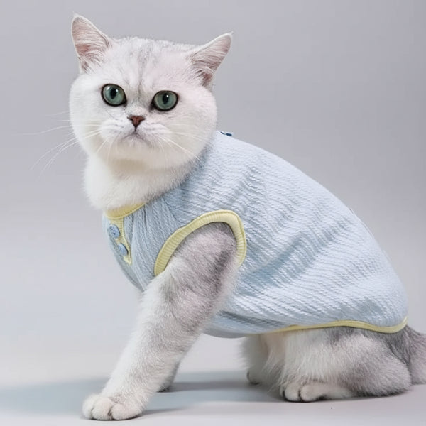 Tee-shirt chaud pour chat de couleur bleu avec boutons, adapté pour les félins à la mode