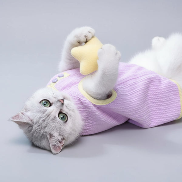 Chat allongé sur un canapé portant un tee-shirt chaud pour chat en lilas avec des boutons