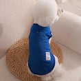 Load image into Gallery viewer, Tee-shirt léger pour petit chien Oscar et Plume Bleu / XS
