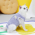 Load image into Gallery viewer, Tee-shirt post opération pour chat Oscar et Plume Rayure Bleu / S
