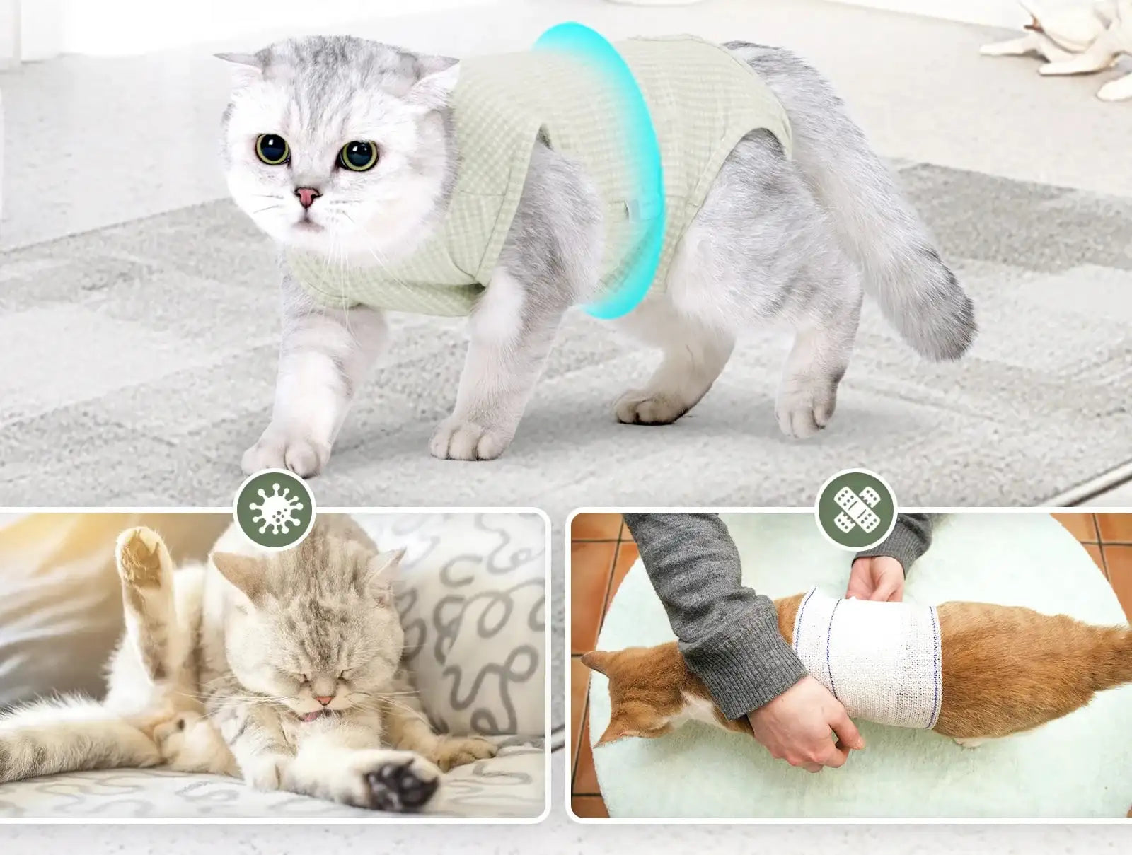 Tee-shirt post opération pour chat de Oscar et Plume, confortable et protecteur pour la guérison