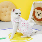 Chat blanc portant un tee-shirt post opératoire chat à motifs roses pour protection après chirurgie