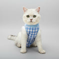 Cargar la imagen en la vista de la galería, Tee-shirt post opératoire chat à carreaux bleus pour chats en convalescence
