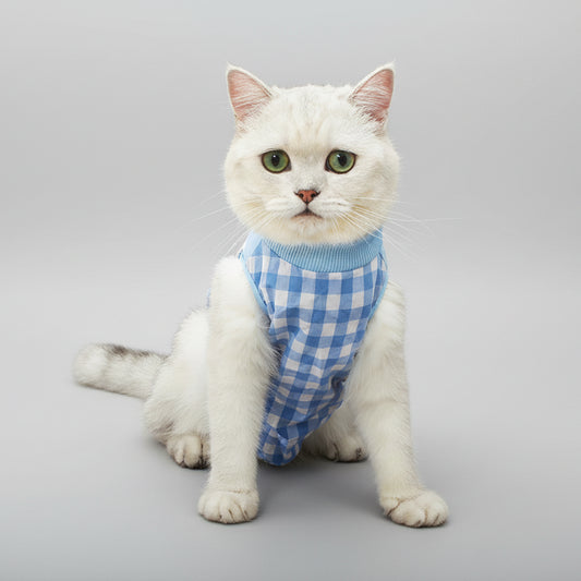 Tee-shirt post opératoire chat à carreaux bleus pour chats en convalescence