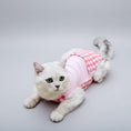 Cargar la imagen en la vista de la galería, Tee-shirt post opératoire chat en rose avec motif à carreaux pour le confort de votre félin
