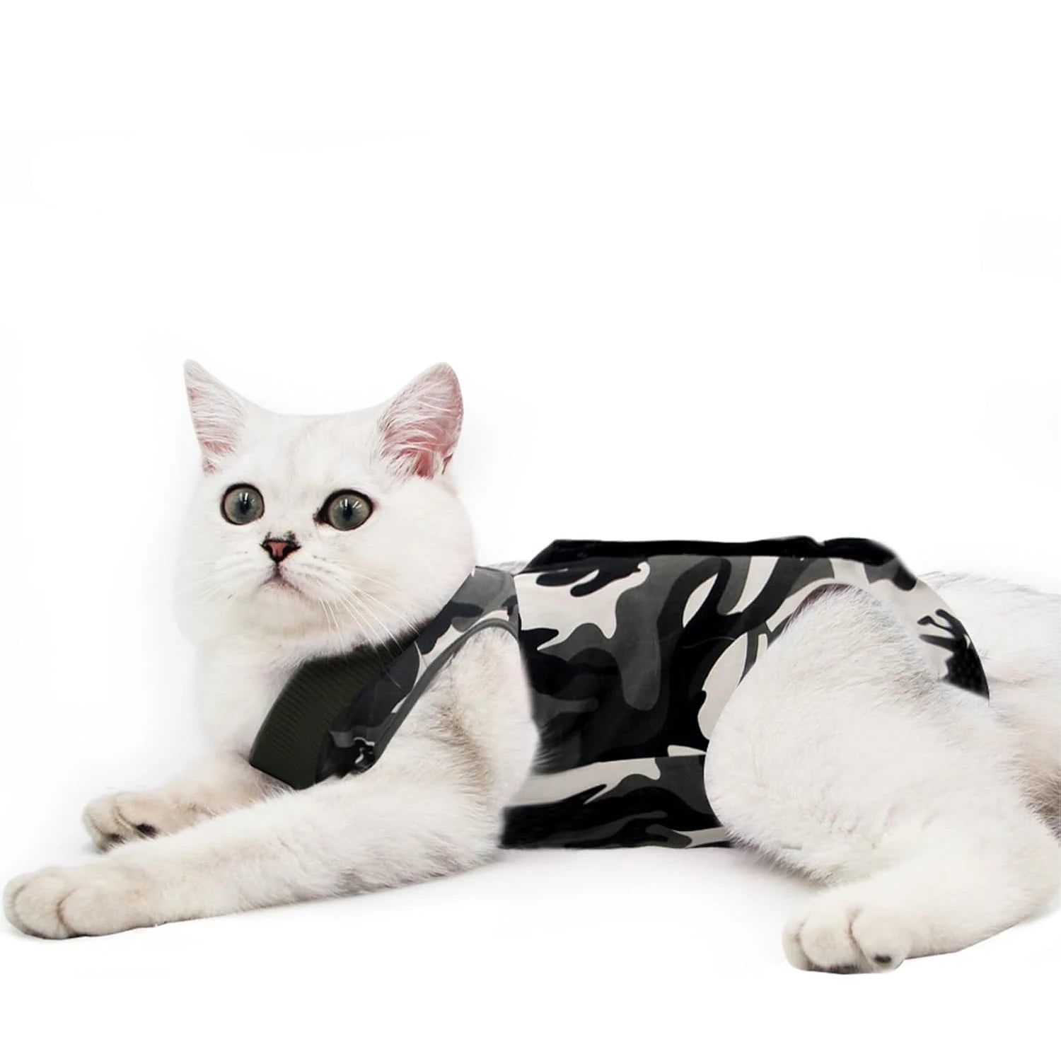 Tee-shirt post opératoire pour chat avec motif camouflage, idéal pour la récupération après chirurgie