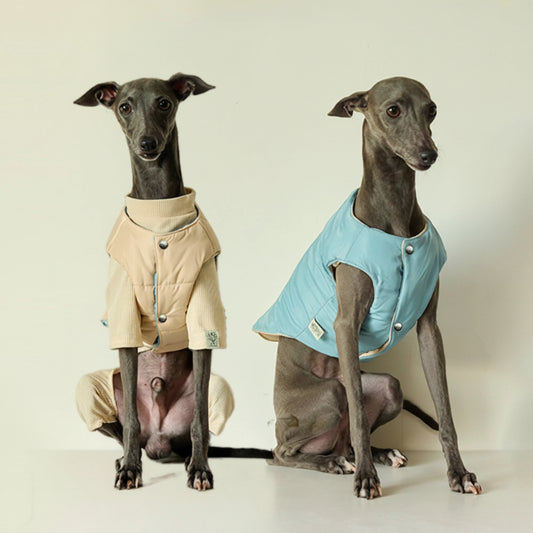 Veste chaude pour lévrier en beige et bleu, adaptée aux chiens élégants et confortables