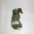 Charger l'image dans la visionneuse de la galerie, Veste coupe-vent pour teckel en vert avec capuche et inscription GOOD LUCK
