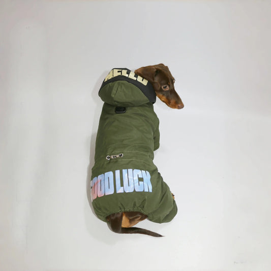 Veste coupe-vent pour teckel en vert avec capuche et inscription GOOD LUCK