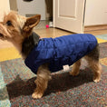 Bild in Galerie-Betrachter laden, Veste d'hiver en coton pour chien - Les Bonnes Affaires Oscar et Plume Bleu / XL
