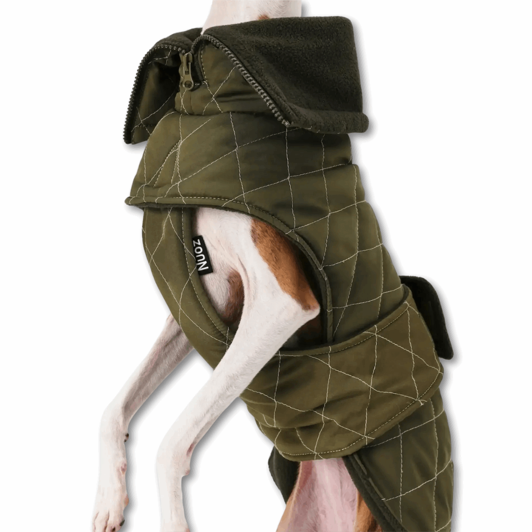 Veste élégante pour lévrier en tissu matelassé vert avec col douillet pour le confort