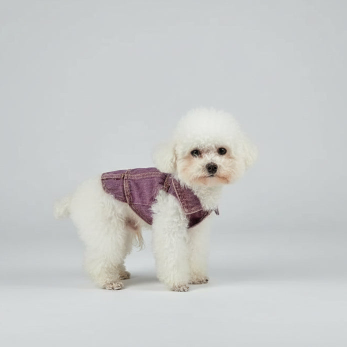 Chien portant une veste en jean pour chien de couleur violet, parfait pour les promenades stylées