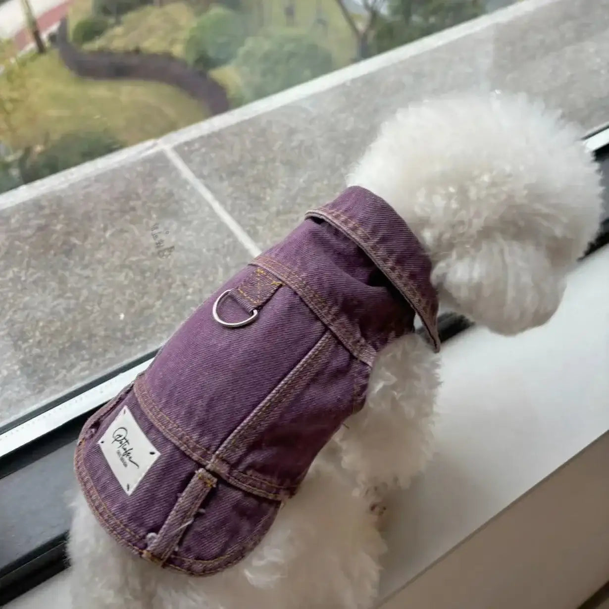 Veste en jean pour chien Oscar et Plume en violet avec boucle d'attache pour la laisse