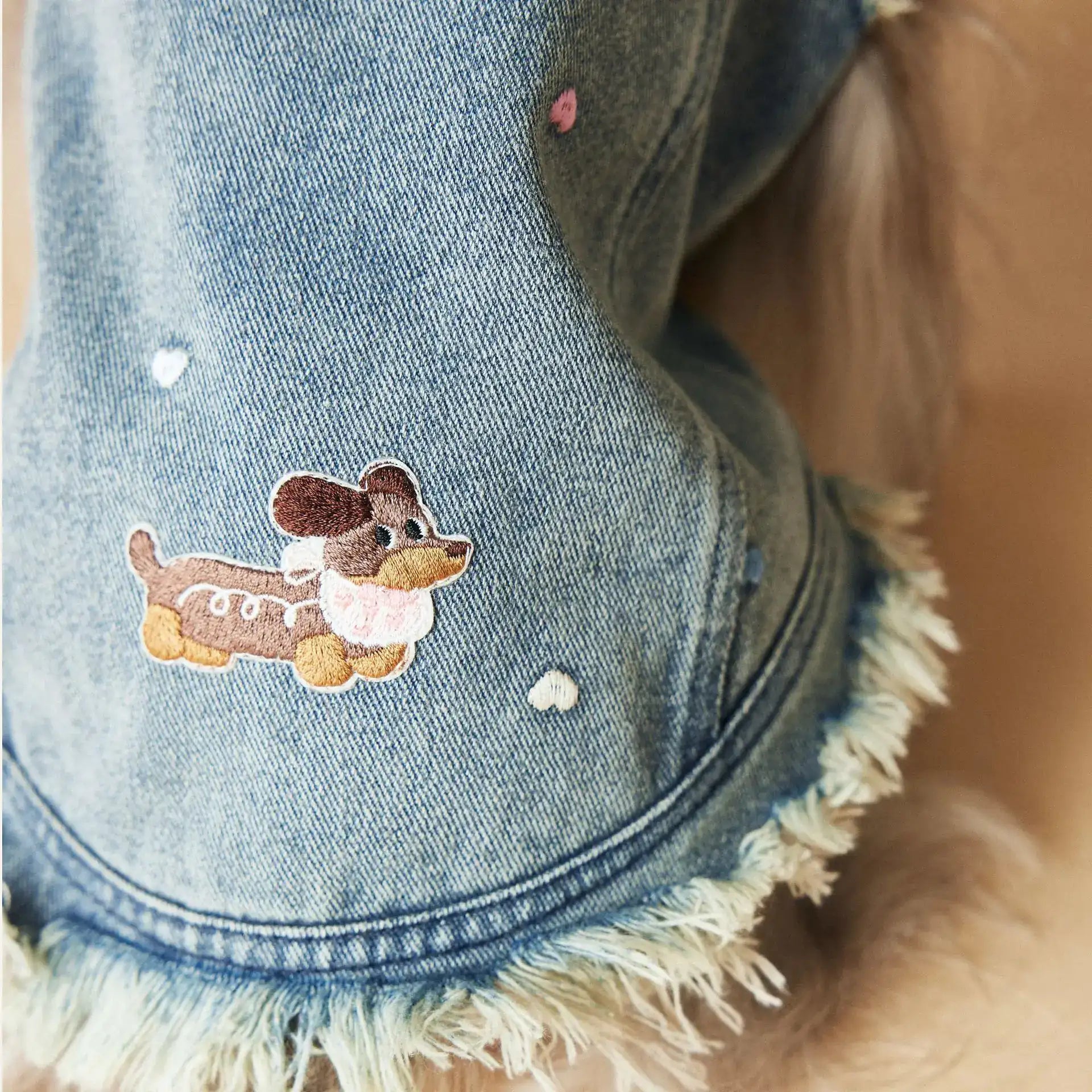 Veste en jean pour teckel avec motif brodé de teckel et ourlet effiloché