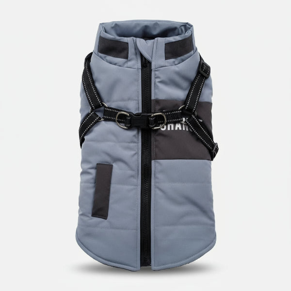 Veste hiver chien grise avec harnais intégré pour petit chien par Oscar et Plume