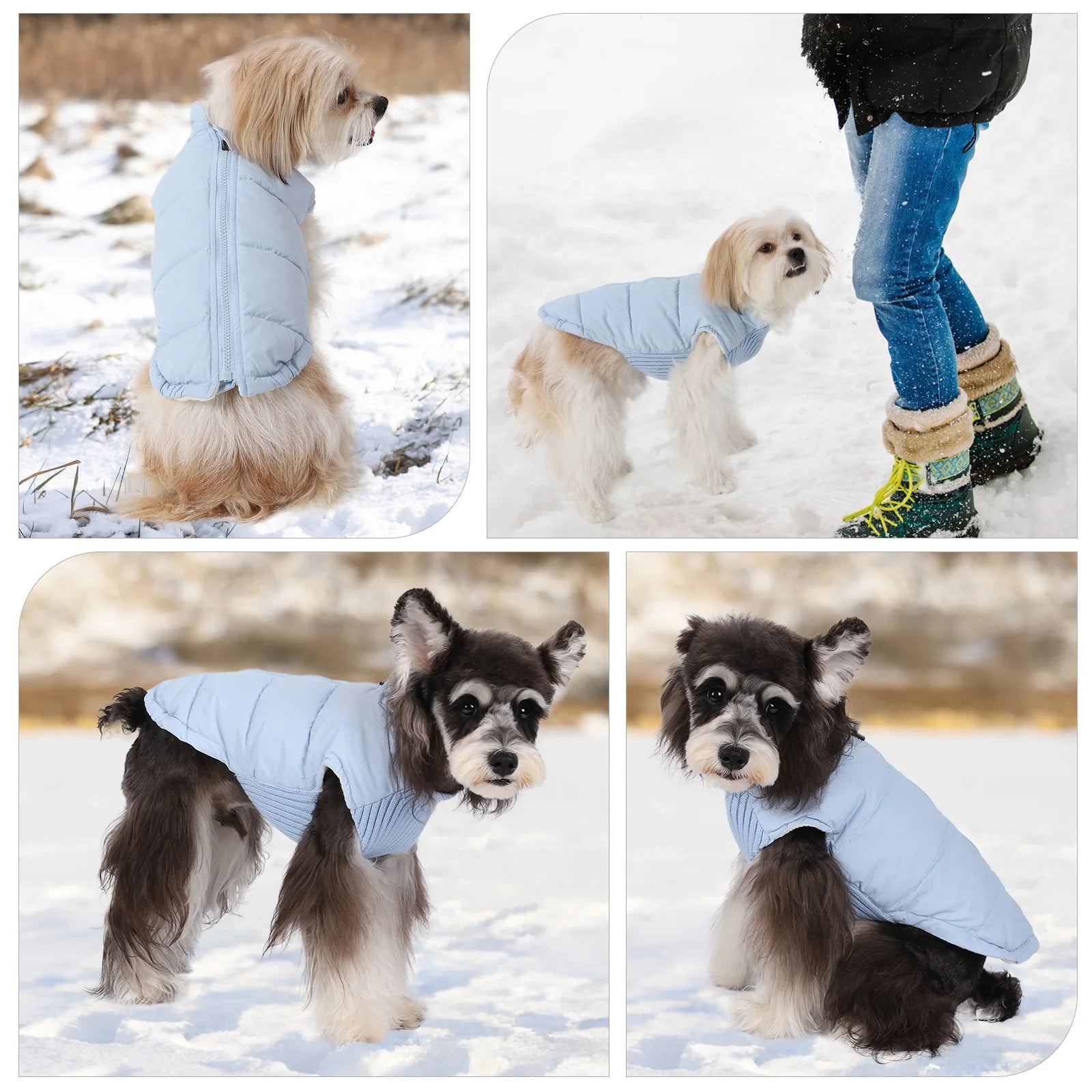 Veste hiver coupe-vent pour chien Oscar et Plume