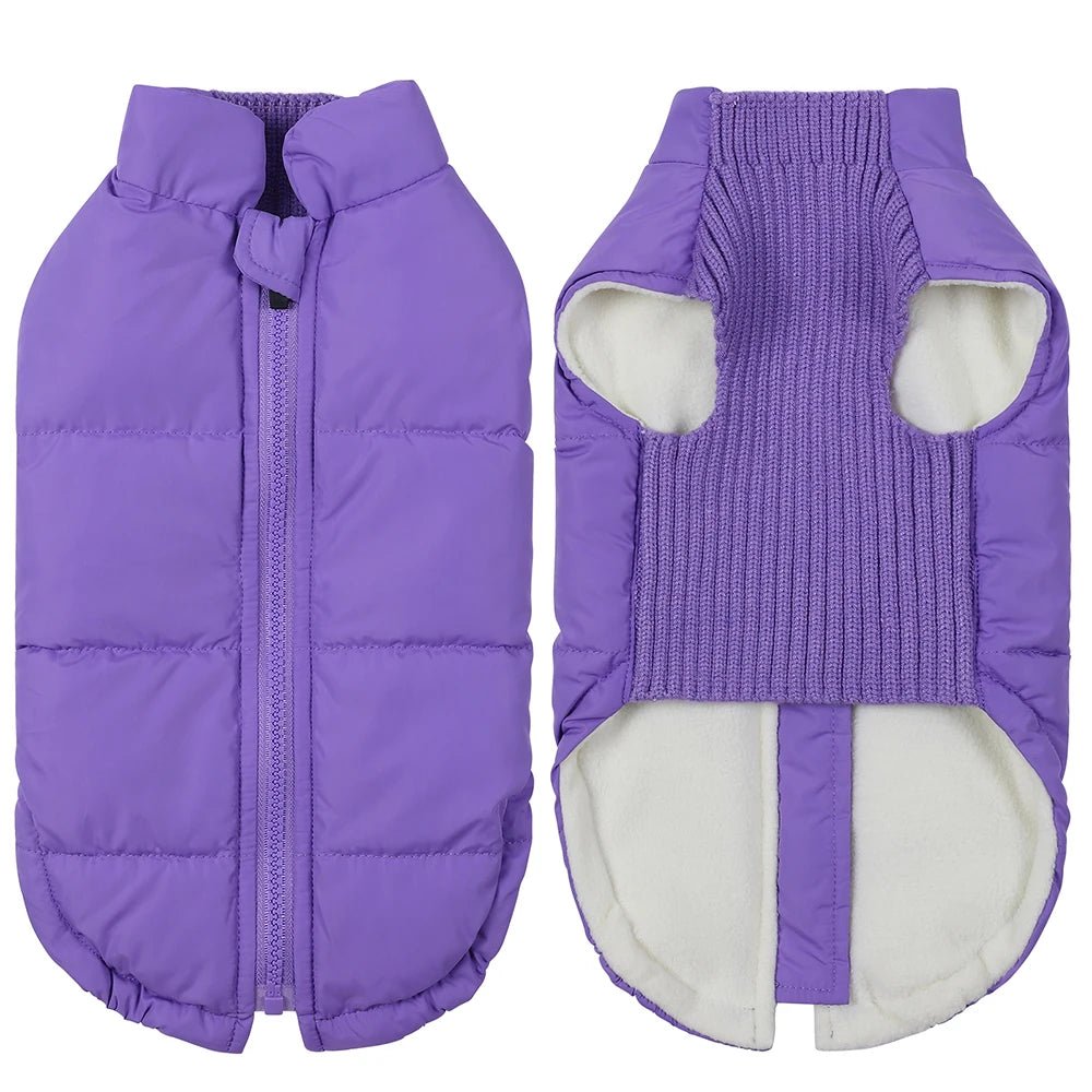 Veste hiver coupe-vent pour chien Oscar et Plume Violet / XS