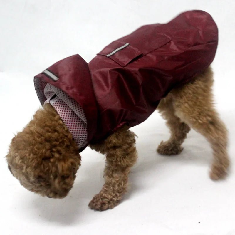 Veste imperméable avec capuche pour chien - Oscar et Plume