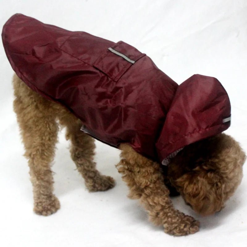 Veste imperméable avec capuche pour chien - Oscar et Plume